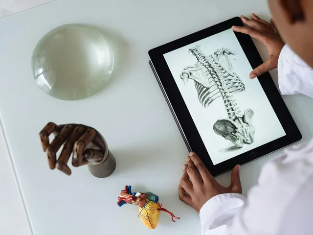 Tablet com ilustração da coluna vertebral e modelos anatômicos sobre a mesa